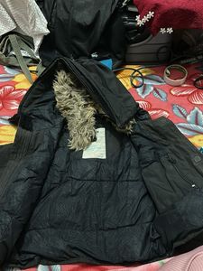 Golden Bear Bancroft Parka