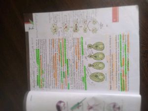 CLASS 12 BIOLOGY TEXTBOOK - HEAVILY USED