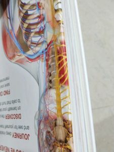 Human Body Book 📚