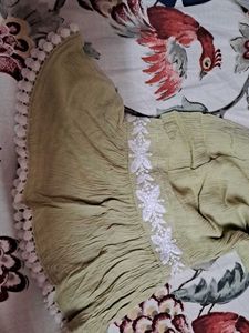 Pastel Green Chikankari Style Kurti with White Emb