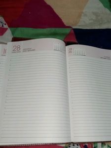 Set Of Two Excellent New Diaries...