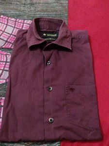 Shirt 👕