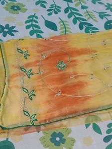 Newly Embroidered Sari
