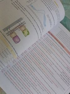 Xamidea SCIENCE For CBSE Class 10 2022-23