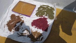Homemade Shikakai Shampoo Powder