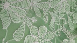 Mint Green Embroidered Top