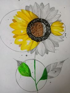 Sunflower Painting With Frame