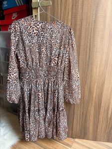 Zara Leopard Print Dress