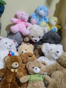 Bundle Of Teddy