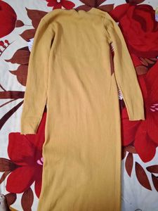 Winter Brown &amp; Mustard Dress