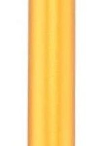 Golden Facial Roller