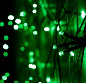 Dormen India Green Color 15 Meter LED Jhalar Fai