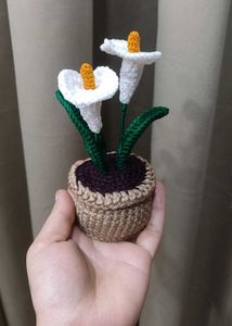 Crochet Calla Lily Plant