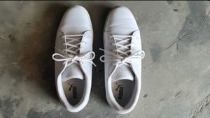 Puma White Casual Shoes