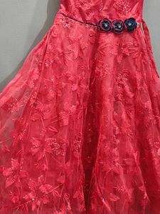 Beautiful Rose Net Frock