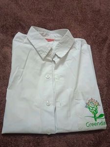 Greendale School Uniform Shirt , Little Stain