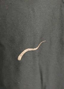 Tshirt For Kids