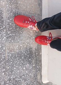 Red Sports Shoes