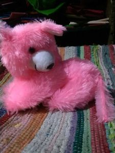 Pink Plush Toy