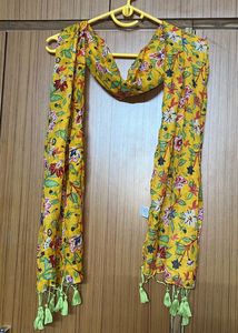 Printed Multicoloured Stole With Tassels