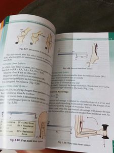 BD Chaurasia&#39;s General Anatomy