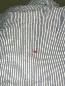 Bershka Made In Spain Off Shoulder Top