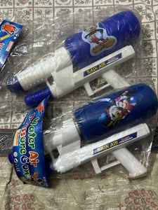 Water gun set of 2