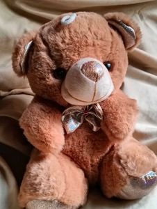 Teddy Bear