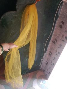 Lehnga Choli With Dupatta