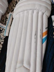 DSC Cricket Batting Pads