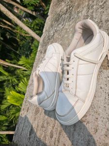 Highlander White Casual Sneakers