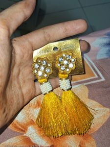 A Pretty Earring