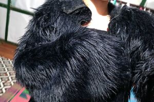 Black Faux Fur Jacket