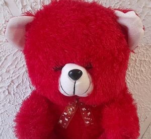 Red Teddy
