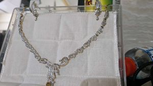 Elegant Necklace & Earring Set..very Beautiful set