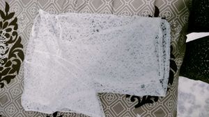 White Netted Shrug