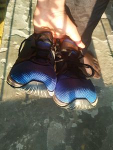 Blue Spartan Sport Shoes