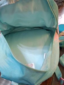 Frozen Sling Bag