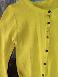 3 Woolen Top At 249