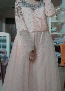 Elegant Ethnic Gown