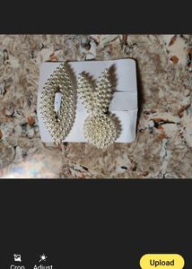 Trendy Tick Tack Clips