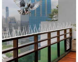 Anti-Pigeon Spikes