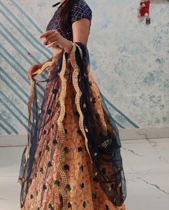 Party Wear Lehnga