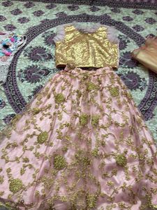 Pink Shimmery Embroidered Net Lehanga