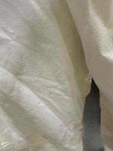 Minimalist White Band Collar Shirt