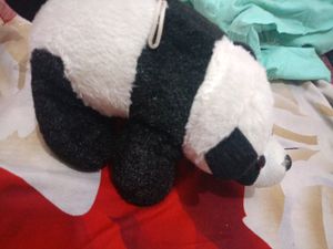 Cute Panda Softoy