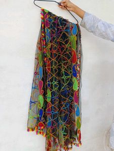 Colorful Embroidered Dupatta