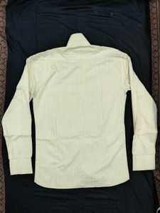 Light Yellow Formal Button Down Shirt