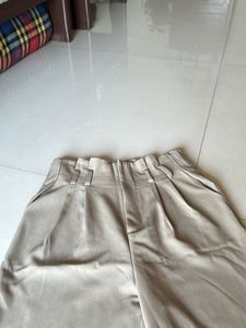 Beige  Formal Pant
