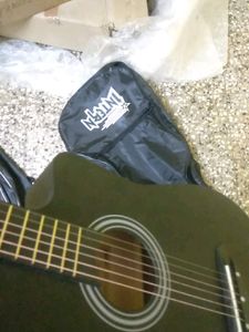 Acoustic Guitar